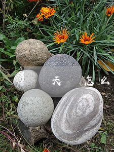 天貓怎么分期免息（天貓的分期免息怎樣用）