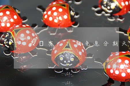 天貓有12期免息分期(天貓分期免息費率)