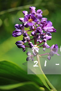 天貓網(wǎng)商貸逾期處理方案2021-天貓網(wǎng)商貸還不上怎么辦