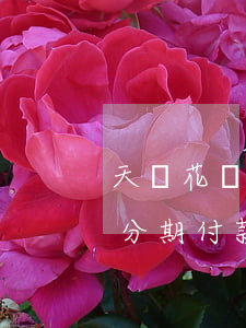天貓花唄分期免息第一次還款日期(天貓花唄分期付款)