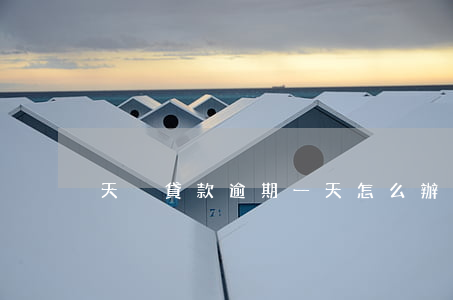 天貓貸款逾期一天怎么辦(貸款逾期1天)