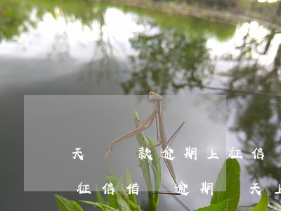 天貓貸款逾期上征信嗎(京東借款逾期多久上征信?借唄逾期幾天上征信)