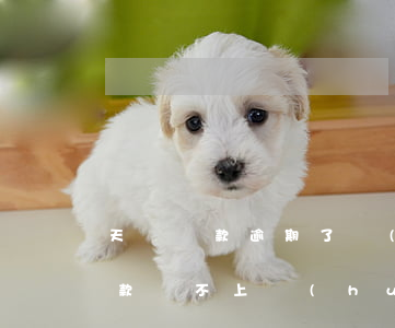 天貓貸款逾期了會(huì)怎么樣(天貓貸款還不上會(huì)影響孩子嗎)