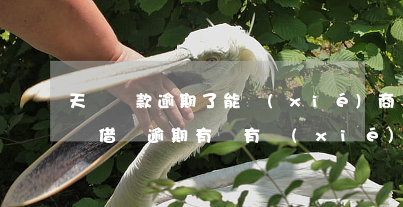 天貓貸款逾期了能協(xié)商還款嗎(花唄借唄逾期有沒有協(xié)商還款成功的)
