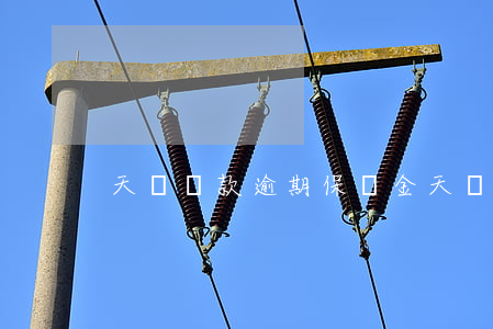 天貓貸款逾期保證金(天貓保證金退款要多久)