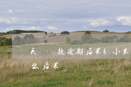 天貓貸款逾期后果6(小米貸款逾期十天有什么后果)