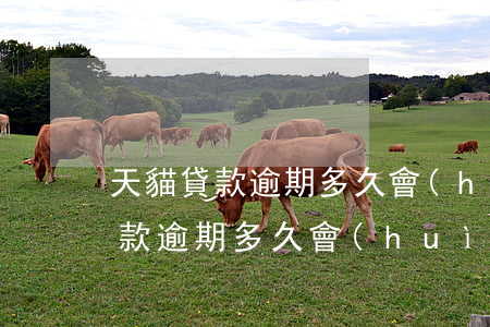 天貓貸款逾期多久會(huì)催繳(天貓貸款逾期多久會(huì)催繳)