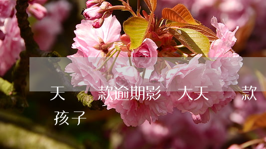 天貓貸款逾期影響大(天貓貸款還不上會影響孩子嗎)
