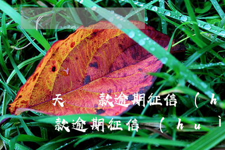 天貓貸款逾期征信會(huì)黑嗎(天貓貸款逾期征信會(huì)黑嗎)