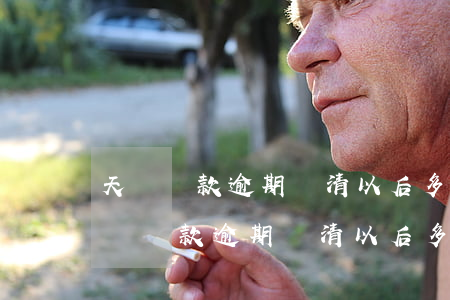 天貓貸款逾期還清以后多久可以在貸款-天貓貸款逾期還清以后多久可以在貸款買(mǎi)車(chē)