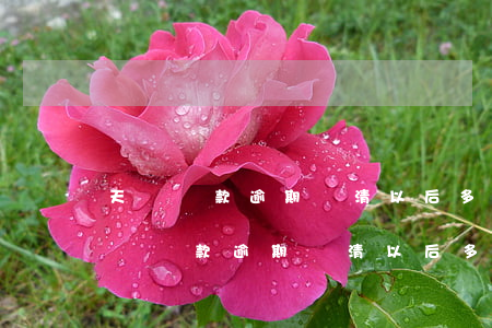 天貓貸款逾期還清以后多久可以在貸款-天貓貸款逾期還清以后多久可以在貸款買車