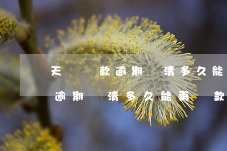天貓貸款逾期還清多久能再貸款-天貓貸款逾期還清多久能再貸款啊