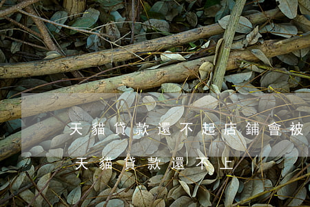 天貓貸款還不起店鋪會被關(guān)閉 天貓貸款還不上