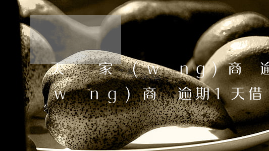天貓賣家網(wǎng)商貸逾期一天(網(wǎng)商貸逾期1天 借唄無法使用)