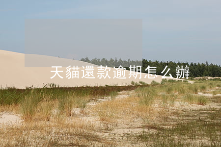天貓還款逾期怎么辦