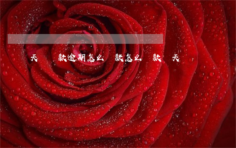 天貓還款逾期怎么還款(怎么還款給天貓)