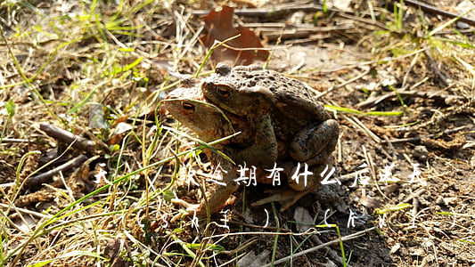 天貓還款逾期有什么后果(天貓貸款逾期了同時(shí)會(huì)影響后續(xù)的貸款)