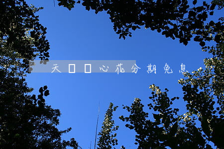 天貓隨心花分期免息