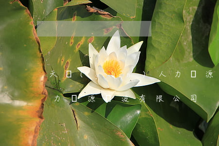 天運(yùn)人力資源(天運(yùn)人力資源寧波有限公司)