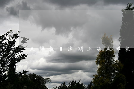 天雄投資逾期(上海天雄投資)