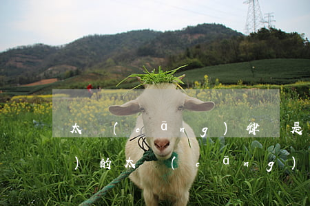 太倉(cāng)律師是怎么收費(fèi)的(太倉(cāng)法律援助中心律師)