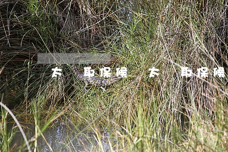 太倉取保候審(太倉取保候審)