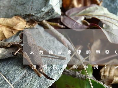 太倉孫劍良律師事務(wù)所怎么樣(太倉孫劍良律師事務(wù)所怎么樣)