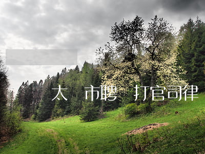 太倉市聘請打官司律師(太倉市聘請打官司律師)