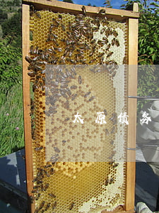 太原债务律师哪个好-太原债务律师事务所