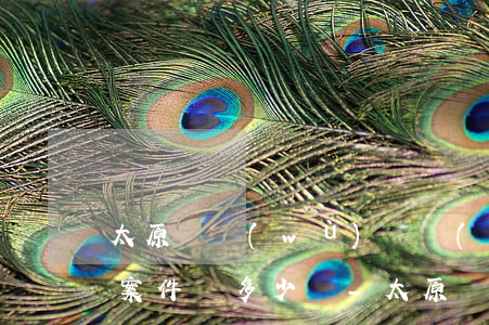 太原債務(wù)債權(quán)案律師案件費多少錢-太原債務(wù)債權(quán)案律師案件費多少錢一次