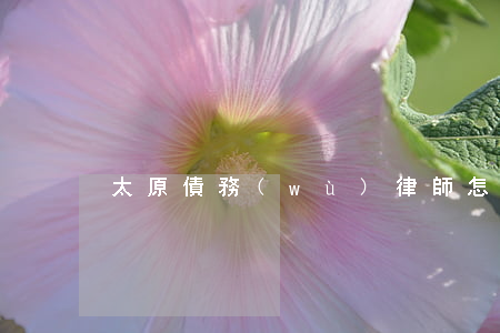 太原債務(wù)律師怎么選