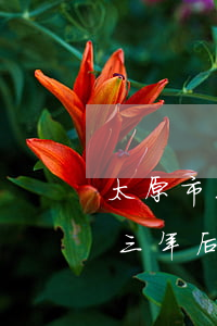 太原市三年后过渡费逾期补偿原则-太原市三年后过渡费逾期补偿原则是什么