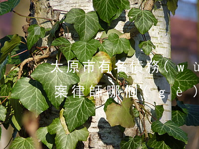 太原市有名債務(wù)債權(quán)案律師哪個(gè)好-太原債務(wù)律師事務(wù)所