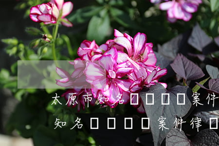 太原市知名債務債權案件律師顧問-太原市知名債務債權案件律師顧問名單