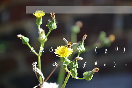 太原市萬柏林區(qū)債務(wù)合同律師收費(fèi)-太原債務(wù)律師事務(wù)所