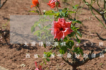 太原律師事務(wù)所哪個(gè)好(山西省太原市最好的律師)