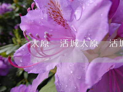 太原樂活城(太原樂活城)