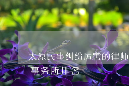 太原民事纠纷厉害的律师(太原经济纠纷律师事务所排名)