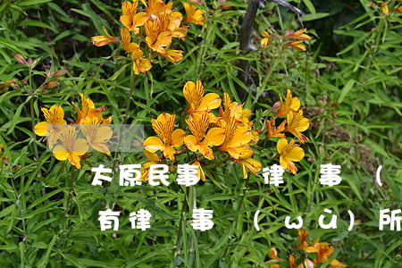 太原民事訴訟律師事務(wù)所(太原哪里有律師事務(wù)所電話號(hào)碼是)