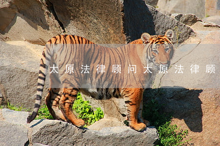 太原法律顾问(太原法律顾问)