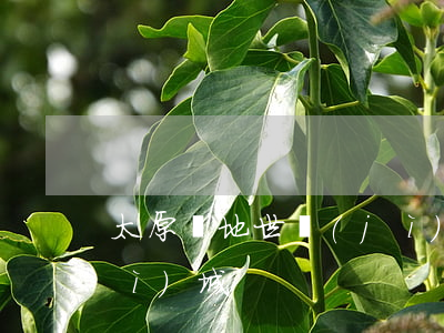 太原綠地世紀(jì)城(太原綠地世紀(jì)城)
