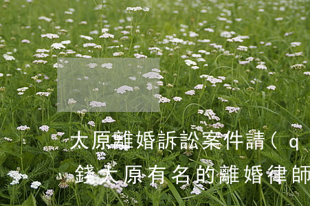 太原離婚訴訟案件請(qǐng)律師多少錢(太原有名的離婚律師)
