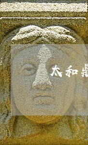 太和鼎信查網(wǎng)貸逾期嗎
