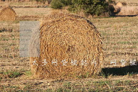 太多网贷被起诉-网贷被起诉了会坐牢吗