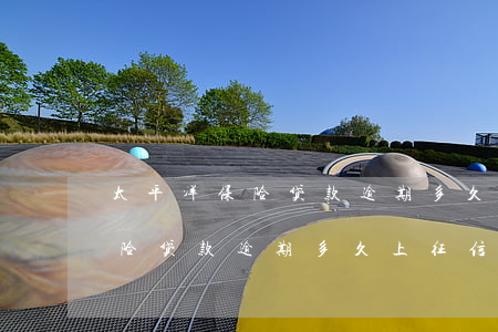 太平洋保险贷款逾期多久上征信-太平洋保险贷款逾期多久上征信记录