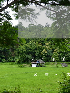 太平洋保險(xiǎn)公司貸款逾期了怎么辦-太平洋保險(xiǎn)公司貸款逾期了怎么辦理
