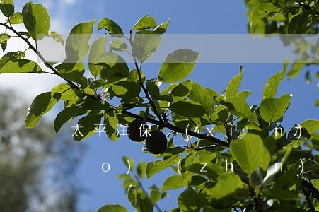 太平洋保險(xiǎn)車禍賠償標(biāo)準(zhǔn)(太平洋保險(xiǎn)公司車禍賠償標(biāo)準(zhǔn))