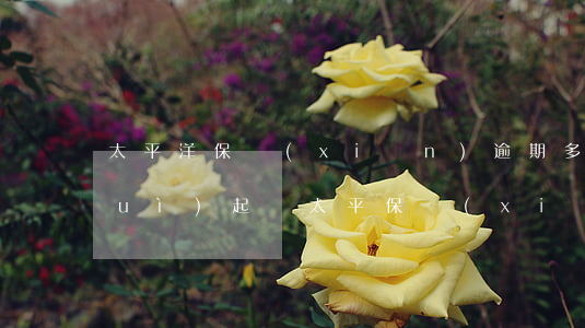 太平洋保險(xiǎn)逾期多少天會(huì)起訴(太平保險(xiǎn)逾期時(shí)間多長(zhǎng))