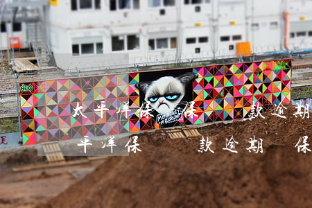 太平洋保險保單貸款逾期了是否有催收-太平洋保險貸款逾期對保單有影響嗎