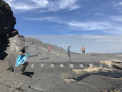 太平洋保險鴻鑫人生